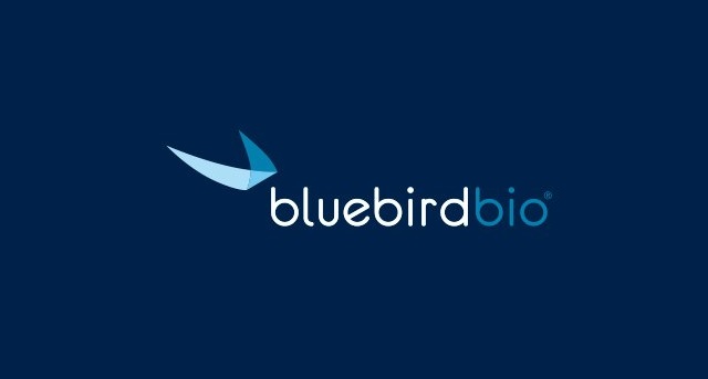 FDA panel unanimously backs bluebird gene therapy.