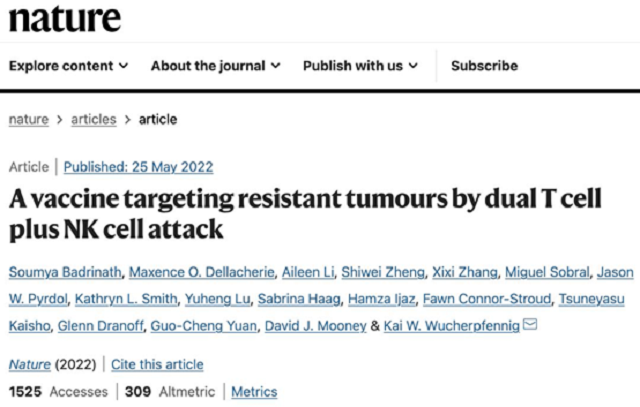 New Cancer Vaccine Attacks Tumors by Dual T Cell plus NK Cell