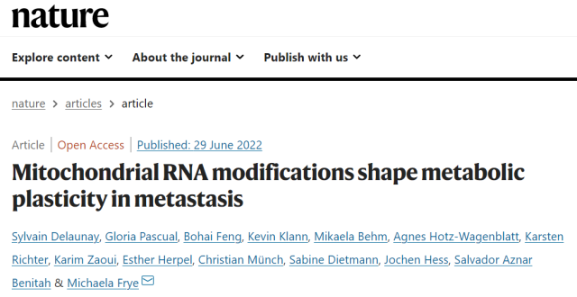 First time: tRNA modifications in mitochondria shown to promote cancer metastasis