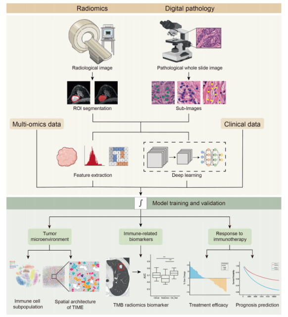 Technological Changes in Tumor Immunity from Immunomics to Single-Cell Analysis and Artificial Intelligence. 