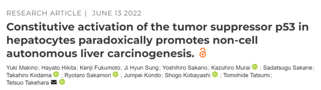 The strongest tumor suppressor gene p53 actually promotes the development of liver cancer