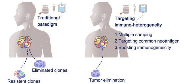 Heterogeneity of the tumor immune microenvironment