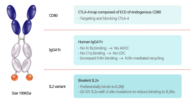 Poor clinical results: Moderna abandons first mRNA drug targeting IL-2