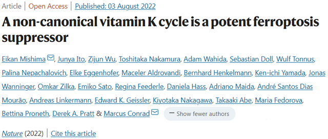 Inconspicuous vitamin K can effectively inhibit cell ferroptosis