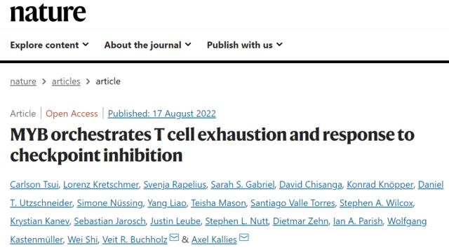 Nature heavyweight: How do T cells overcome fatigue?