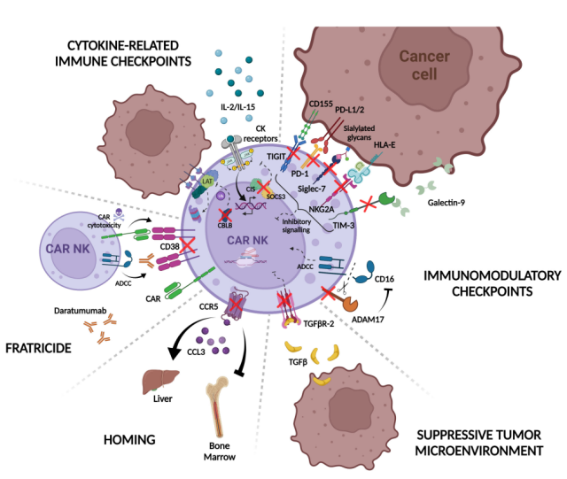 How to overcome tumor resistance mechanisms in CAR-NK cell therapy?