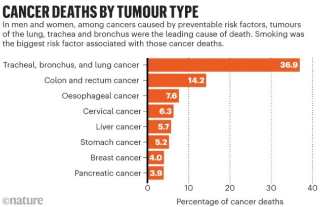 New report on cancer: Nearly 50% of cancer deaths worldwide can be avoided!