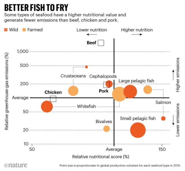 Scientists recommend that humans eat more farmed shellfish and fish: there are many nutritional and environmental benefits