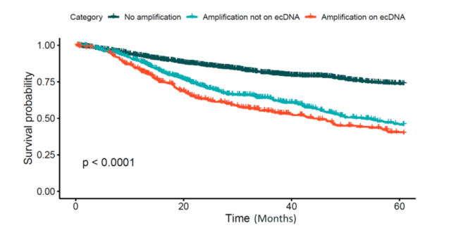 Will the ubiquitous ecDNA in cancer cells bring about a new revolution in cancer treatment?