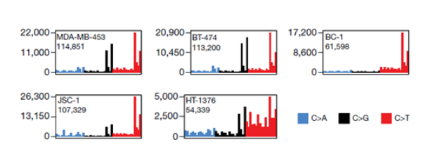 Are monkeypox outbreaks related to the adaptive evolution of APOBEC3 gene?