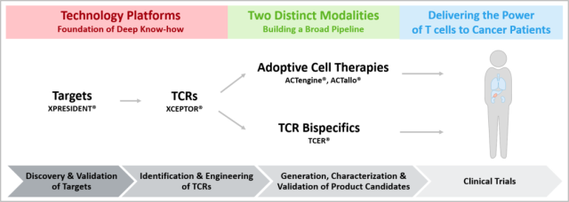 The "pan-cancer target" of TCR therapy was found, and Bristol-Myers Squibb and GSK are expected to take advantage of it.