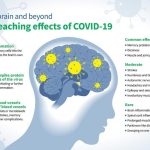 COVID-19 infection increases risk of a range of neurological diseases,