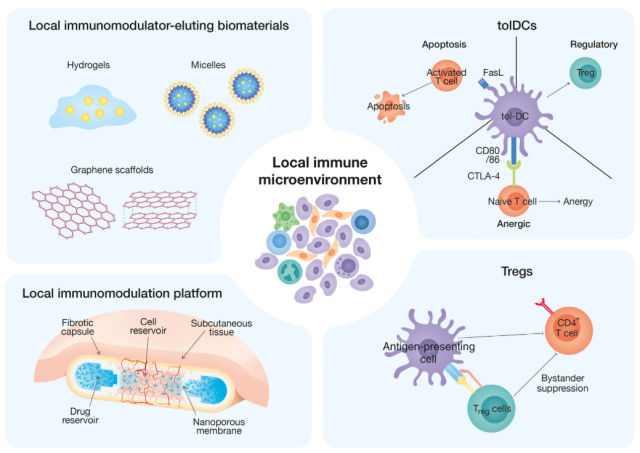 Emerging immunomodulatory strategies for cell therapy
