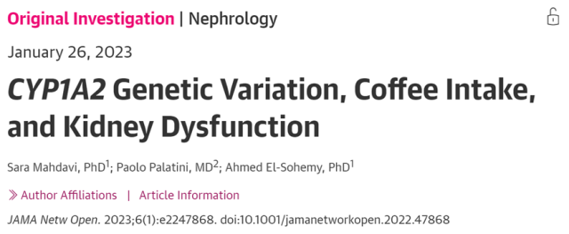 Whether coffee hurts the kidney or not depends on genes