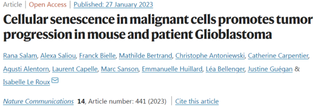 Senescent cells actually promote glioblastoma progression