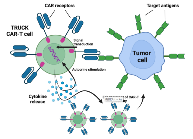 Clinical overview of new generation CAR-T cell therapy
