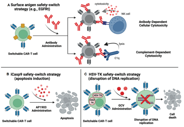 Clinical overview of new generation CAR-T cell therapy
