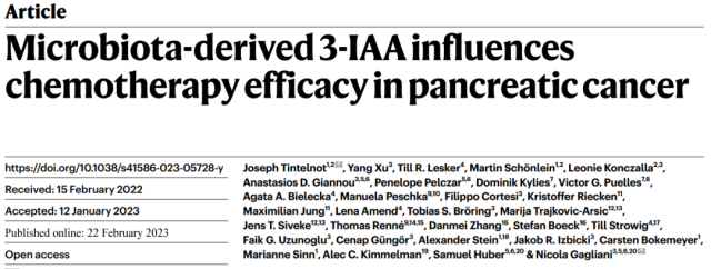 Indole-3 acetic acid affects the efficacy of chemotherapy in pancreatic cancer