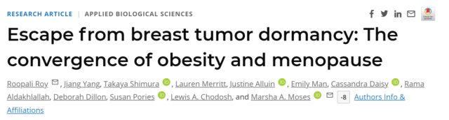 Why does obesity increase cancer risks?