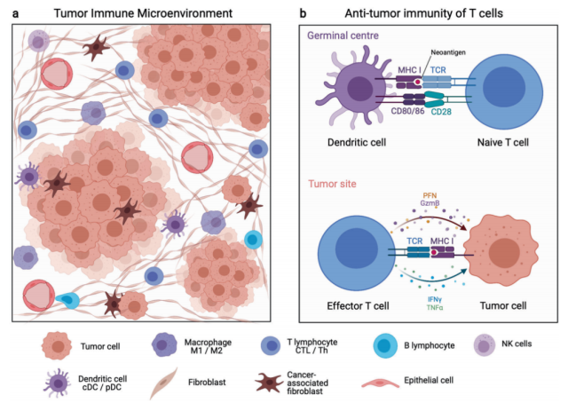 New Technologies in Frontiers of Tumor Immunology
