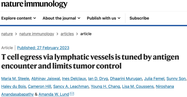 How do tumors efflux T cells through lymphatic vessels?