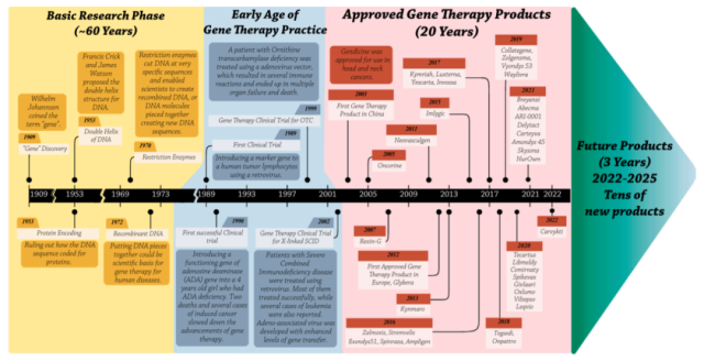 What is the current clinic status of global gene therapy?
