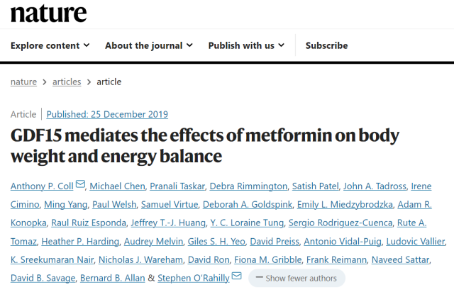 Why can Metformin help people to lose Weight?