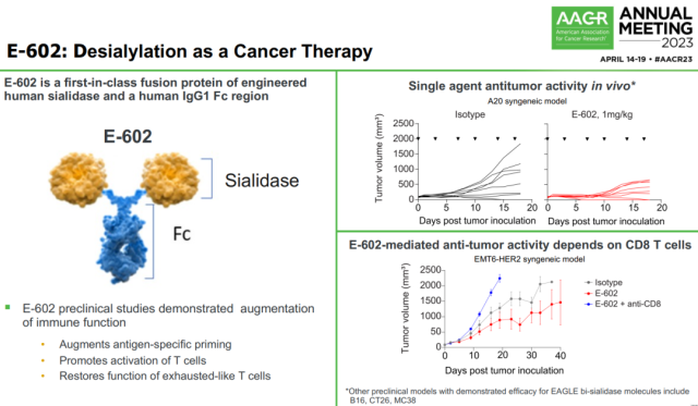 New cancer immunotherapy: The first clinical data of chemically modified antibodies