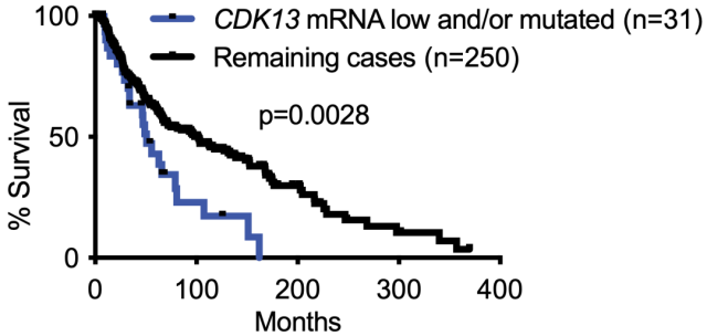 Harvard major breakthrough: RNA monitoring has a broad tumor suppressor effect