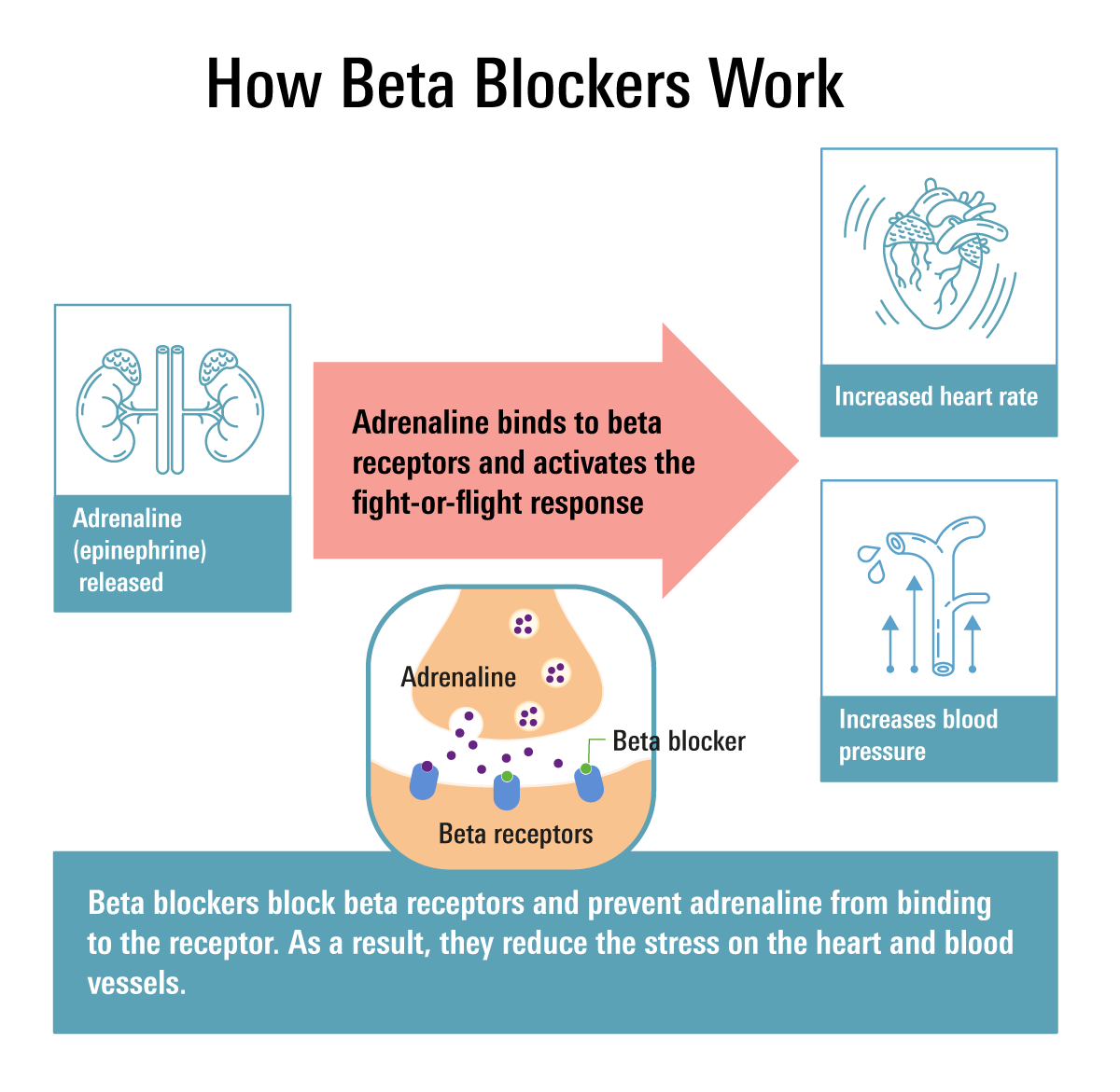 Longterm use of betablockers after heart attack has no cardiovascular