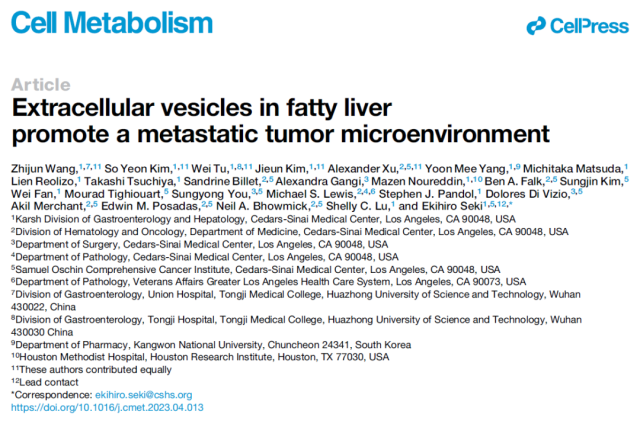 Fatty liver promotes cancer metastasis to the liver through extracellular vesicles