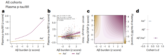 Alzheimer's disease: Astrocyte reactivity is a key link in Aβ-driven tau pathology