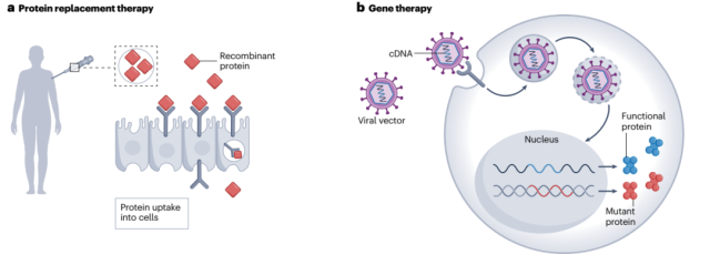 What is RNA-targeted gene activation therapy?