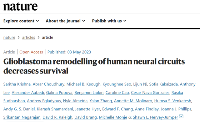 Subversive discovery: Brain thinking promotes tumor growth! Glioma affects cognition and survival by hijacking neurons.