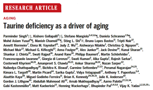 Can taurine reverse aging and prolong life?