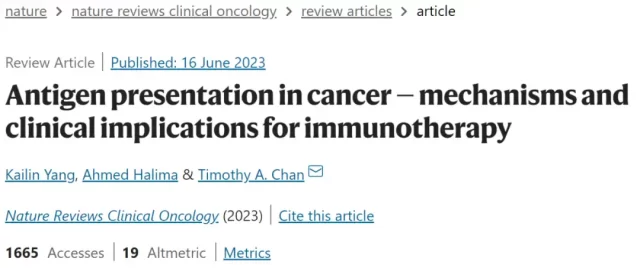What are the prerequisites for immunotherapy to be effective?