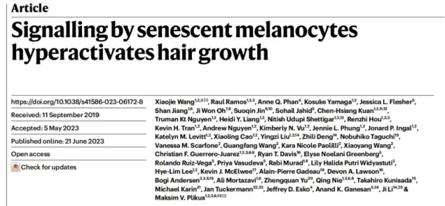 SASP of senescent cells may help solve the problem of hair loss that makes people bald