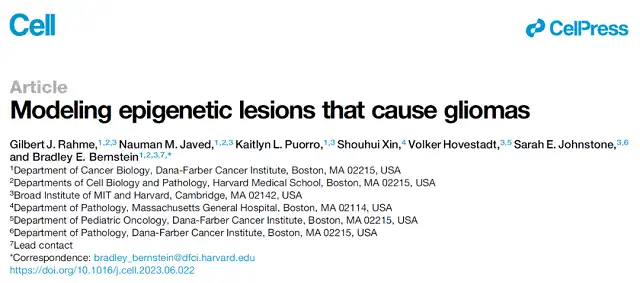 Do gliomas originate in epigenomic alterations?