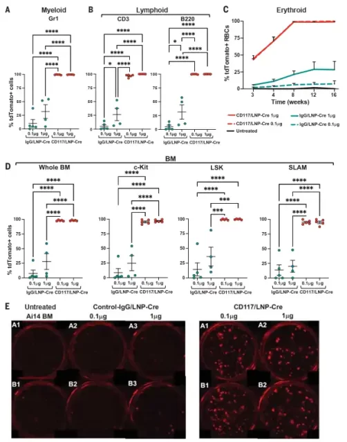 Get rid of the toxicity of radiotherapy and chemotherapy via target hematopoietic stem cells in vivo