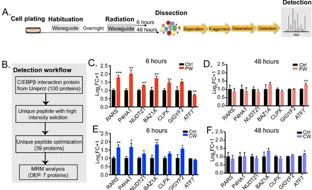 Impacts of Mobile Phone Radiation on Sleep and Brain Cell Gene Expression