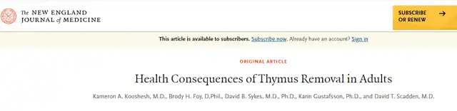 NEJM: Scientists Unveil Crucial Role of Thymus in Adult Health