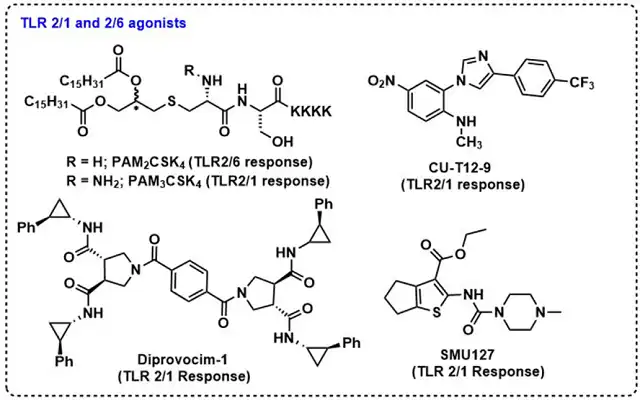 Will TLR Agonists become Next Generation Vaccine Adjuvants?