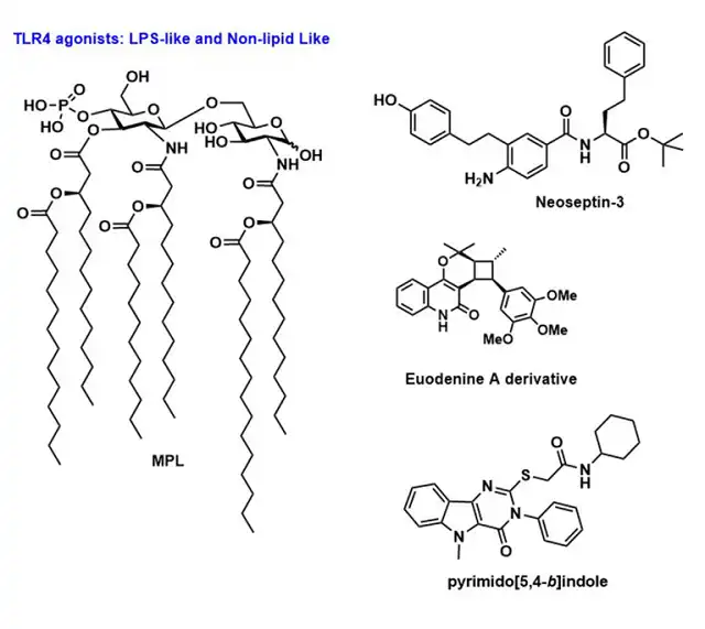 Will TLR Agonists become Next Generation Vaccine Adjuvants?
