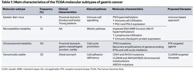 Recent Advances in the Treatment of Stomach (Gastric) Cancer
