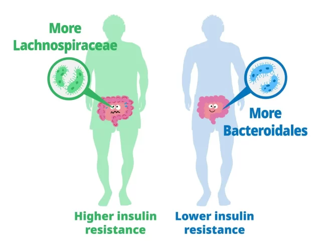 Probiotics Found to Reduce Insulin Resistance and Prevent Diabetes