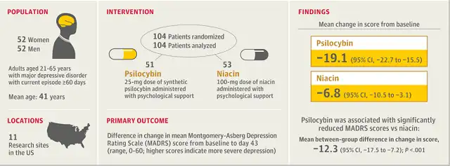 Clinical Trials Confirm the Efficacy of Psilocybin for Severe Depression

In recent years, scientists have shown great interest in psilocybin, an extract from "magic mushrooms," for its potential in treating depression and anorexia nervosa. However, previous clinical trials had significant limitations, including small sample sizes, non-blinded trial designs, and inadequate adverse event assessments. Two recent clinical trials, although addressing some of these limitations to some extent, had relatively short follow-up periods of 2-3 weeks [1,2].

Therefore, a new clinical trial led by the Usona Institute was conducted, where a 25mg single-dose of psilocybin was administered alongside psychological support. The results revealed a quicker and more enduring antidepressant effect compared to a placebo over a 6-week follow-up period. Montgomery-Åsberg Depression Rating Scale (MADRS) scores and Sheehan Disability Scale scores significantly decreased in the psilocybin group. These findings were published in the Journal of the American Medical Association [3].

Image

This randomized, double-blind, placebo-controlled phase 2 trial took place across 11 medical centers in the United States. Participants, aged 21-65, with severe depression lasting at least 60 days, and with a moderate or higher symptom severity level, were randomly assigned in a 1:1 ratio to receive a single dose of psilocybin or a niacin placebo, both with psychological support. Patients with a history of psychosis, bipolar disorder, substance use disorder, or current suicidal ideation were excluded.

A total of 104 participants were included in the intention-to-treat analysis, with 50 in the psilocybin group and 54 in the placebo group. At week 6, 1 participant in the psilocybin group and 9 in the placebo group dropped out or were lost to follow-up. Three participants in each group initiated antidepressant medication before the trial's end (day 43), with 2 in the psilocybin group and 1 in the placebo group also starting psychotherapy. No participants withdrew due to adverse events.

The psilocybin group demonstrated a significantly greater reduction in MADRS scores at day 43 compared to baseline (mean difference -12.3, p<0.001), as well as at day 8 (mean difference -12.0, p<0.001).

Image

Reduction in MADRS scores for the Psilocybin (yellow) and Placebo (blue) groups.

The psilocybin group had more participants with sustained treatment response (20/48 [42%] vs. 5/44 [11%], adjusted absolute difference 30.3, p=0.002). There was also a higher rate of sustained remission in the psilocybin group, but this difference did not reach statistical significance (12/48 [25%] vs. 4/44 [9.1%], adjusted absolute difference 15.9, p=0.05). The psilocybin group had a greater reduction in functional disability scores as assessed by the Sheehan Disability Scale (-2.31, p<0.001).

Psilocybin treatment was associated with improvements in various exploratory endpoints, including overall disease severity reduction, self-reported depressive and anxiety symptoms, and quality of life, but it had no effect on emotional blunting.

Both the psilocybin and placebo groups reported adverse events, with 44 (88%) and 33 (61%) participants, respectively, experiencing at least one adverse event. Within 9 days after dosing, 41 (82%) in the psilocybin group and 24 (44%) in the placebo group reported at least one drug-related adverse event, decreasing to 2 (4%) and 1 (2%) between days 10-43. There were no suicide or self-harm behaviors during the trial, and no clinically significant changes in vital signs or laboratory results were observed.

In summary, the results of this trial suggest that a 25mg single dose of psilocybin is more effective than placebo in improving depression symptoms with a high rate of sustained response and remission. Psilocybin was generally well-tolerated, with most adverse events being mild to moderate and typically limited to the acute dosing period.

Image

In a concurrent commentary, the authors point out that while psychedelic therapy may not be effective for every individual with depression, it represents a new approach to mental health treatment and a potential paradigm shift in disease management. Research into the mechanisms of action of psychedelic substances may also provide new insights into neuronal plasticity and brain function.
