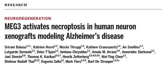 Why Are Humans Prone to Alzheimer's Disease? Long Non-Coding RNA Implicated