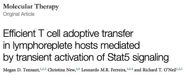 Side-Effect-Free CAR-T Therapy via Transient Stat5 mRNA Activation