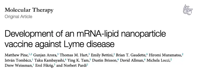 mRNA Vaccine Targeting Bacteria to Prevent Lyme Disease from Tick Bites