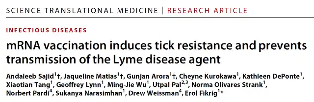 mRNA Vaccine Targeting Bacteria to Prevent Lyme Disease from Tick Bites